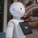 Voice Assistant in E-commerce