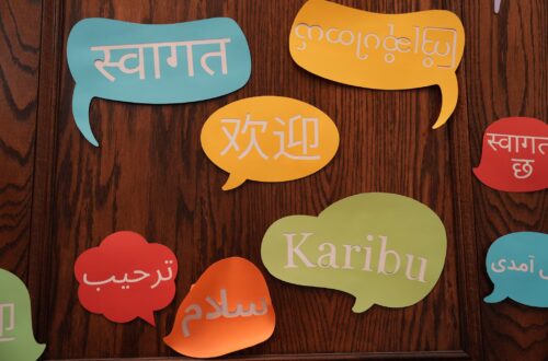 Multi-Language Voice AI
